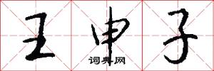 王申子怎么寫好看