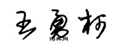朱錫榮王勇柯草書個性簽名怎么寫