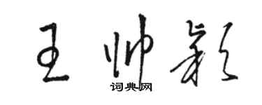 駱恆光王帥穎草書個性簽名怎么寫