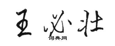 駱恆光王必壯行書個性簽名怎么寫