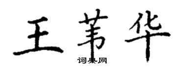 丁謙王葦華楷書個性簽名怎么寫