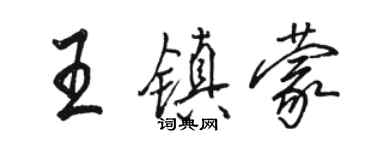 駱恆光王鎮蒙行書個性簽名怎么寫