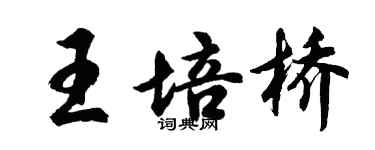 胡問遂王培橋行書個性簽名怎么寫