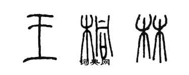 陳墨王桐林篆書個性簽名怎么寫