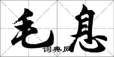 胡問遂毛息行書怎么寫