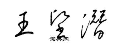 梁錦英王堅潛草書個性簽名怎么寫