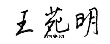 王正良王苑明行書個性簽名怎么寫