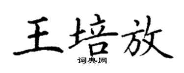 丁謙王培放楷書個性簽名怎么寫