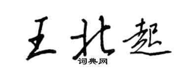 王正良王北起行書個性簽名怎么寫