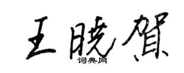 王正良王曉賀行書個性簽名怎么寫