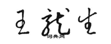 駱恆光王龍生草書個性簽名怎么寫