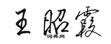 駱恆光王昭霞行書個性簽名怎么寫