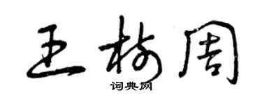 曾慶福王樹周草書個性簽名怎么寫