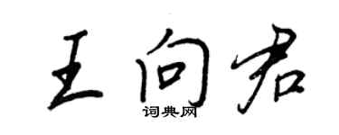 王正良王向君行書個性簽名怎么寫