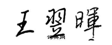 王正良王翌暉行書個性簽名怎么寫