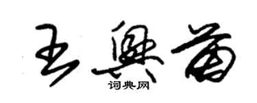 朱錫榮王興苗草書個性簽名怎么寫