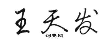 駱恆光王天發行書個性簽名怎么寫