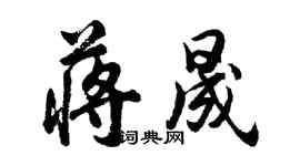 胡問遂蔣晟行書個性簽名怎么寫