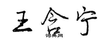 曾慶福王含寧行書個性簽名怎么寫