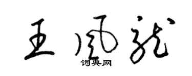 梁錦英王風龍草書個性簽名怎么寫