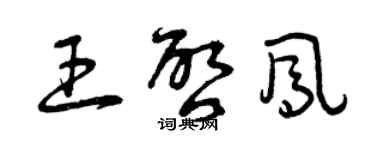 曾慶福王啟鳳草書個性簽名怎么寫