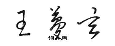 駱恆光王夢玄草書個性簽名怎么寫