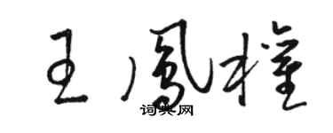 駱恆光王鳳權草書個性簽名怎么寫