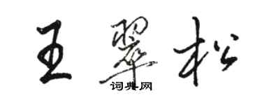 駱恆光王翠松行書個性簽名怎么寫