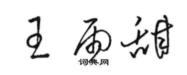 駱恆光王雨甜草書個性簽名怎么寫