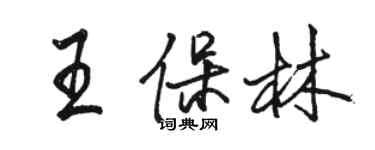 駱恆光王保林行書個性簽名怎么寫