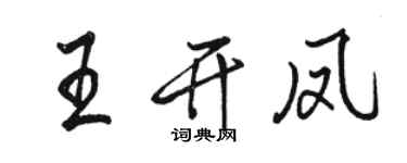駱恆光王開鳳行書個性簽名怎么寫