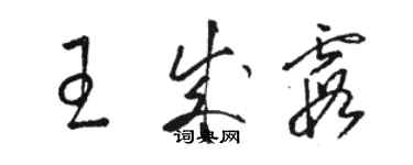 駱恆光王成霞草書個性簽名怎么寫