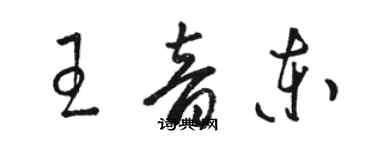 駱恆光王音東草書個性簽名怎么寫