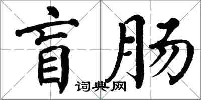 翁闓運盲腸楷書怎么寫