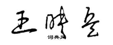 曾慶福王映兵草書個性簽名怎么寫