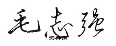 駱恆光毛志強行書個性簽名怎么寫