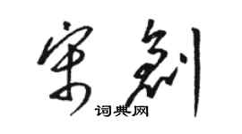 駱恆光宋創草書個性簽名怎么寫