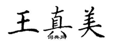 丁謙王真美楷書個性簽名怎么寫