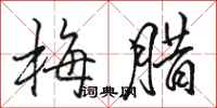 駱恆光梅臘行書怎么寫