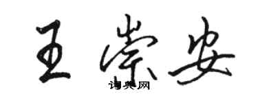 駱恆光王崇安行書個性簽名怎么寫