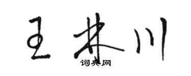 駱恆光王林川草書個性簽名怎么寫