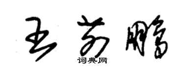 朱錫榮王前鵬草書個性簽名怎么寫