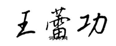 王正良王蕾功行書個性簽名怎么寫