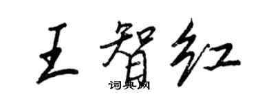 王正良王智紅行書個性簽名怎么寫