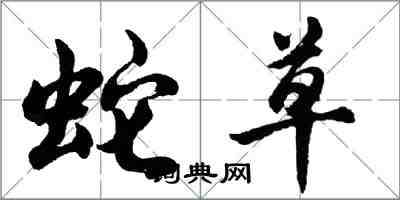 胡問遂蛇草行書怎么寫