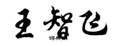 胡問遂王智飛行書個性簽名怎么寫