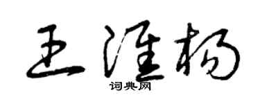 曾慶福王淮楊草書個性簽名怎么寫