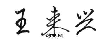 駱恆光王來興行書個性簽名怎么寫