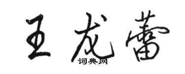 駱恆光王龍蕾行書個性簽名怎么寫