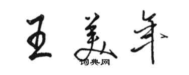 駱恆光王美年行書個性簽名怎么寫